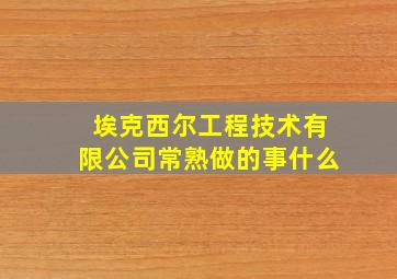 埃克西尔工程技术有限公司常熟做的事什么