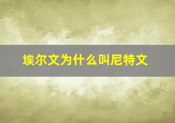 埃尔文为什么叫尼特文