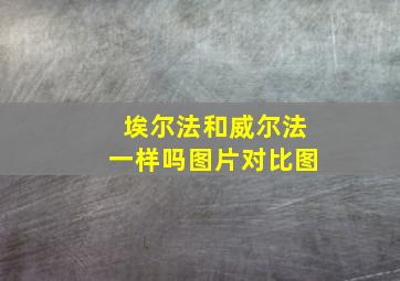 埃尔法和威尔法一样吗图片对比图