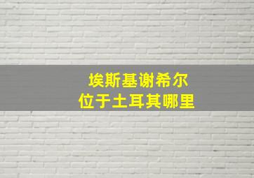 埃斯基谢希尔位于土耳其哪里