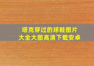 塔克穿过的球鞋图片大全大图高清下载安卓