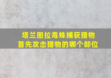 塔兰图拉毒蛛捕获猎物首先攻击猎物的哪个部位