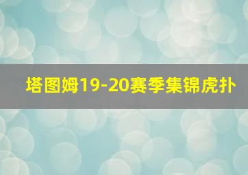 塔图姆19-20赛季集锦虎扑