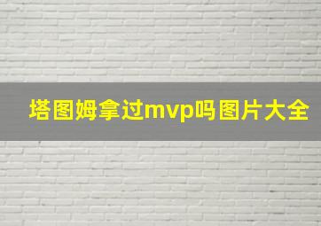 塔图姆拿过mvp吗图片大全