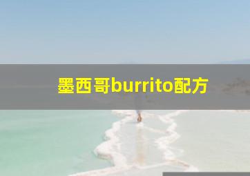 墨西哥burrito配方