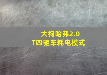 大狗哈弗2.0T四驱车耗电模式