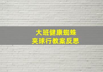 大班健康蜘蛛夹球行教案反思