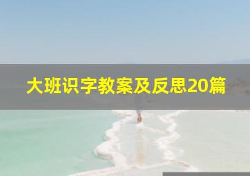 大班识字教案及反思20篇