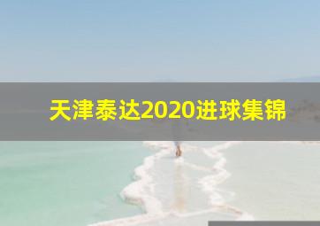 天津泰达2020进球集锦