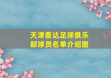 天津泰达足球俱乐部球员名单介绍图