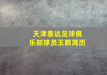 天津泰达足球俱乐部球员王鹏简历