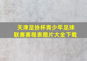 天津足协杯青少年足球联赛赛程表图片大全下载