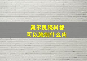 奥尔良腌料都可以腌制什么肉