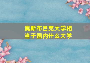 奥斯布吕克大学相当于国内什么大学