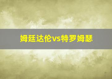 姆廷达伦vs特罗姆瑟