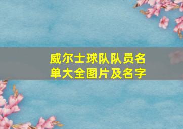 威尔士球队队员名单大全图片及名字