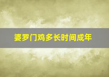 婆罗门鸡多长时间成年