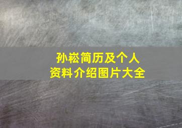 孙崧简历及个人资料介绍图片大全