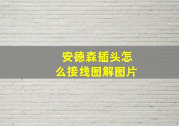 安德森插头怎么接线图解图片