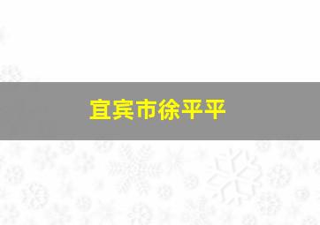 宜宾市徐平平