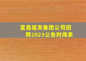 宜昌城发集团公司招聘2023公告时间表