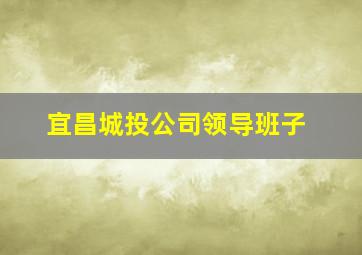 宜昌城投公司领导班子