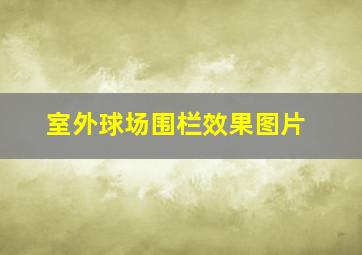 室外球场围栏效果图片