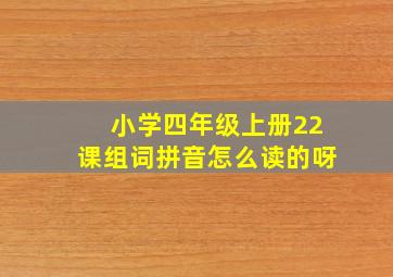 小学四年级上册22课组词拼音怎么读的呀