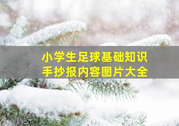 小学生足球基础知识手抄报内容图片大全