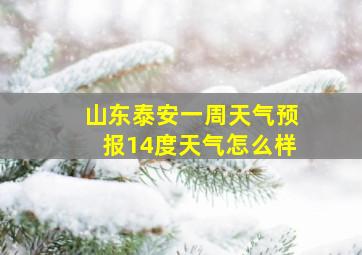 山东泰安一周天气预报14度天气怎么样