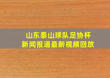 山东泰山球队足协杯新闻报道最新视频回放