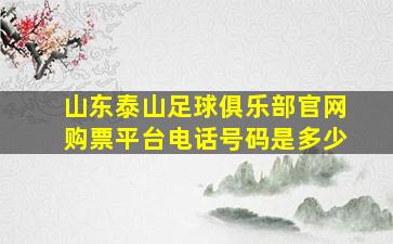 山东泰山足球俱乐部官网购票平台电话号码是多少