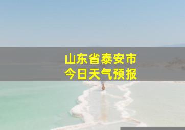 山东省泰安市今日天气预报