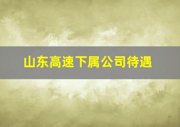 山东高速下属公司待遇