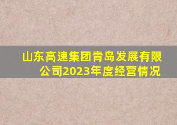 山东高速集团青岛发展有限公司2023年度经营情况