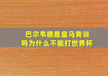 巴尔韦德是皇马青训吗为什么不能打世界杯