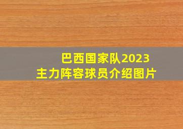 巴西国家队2023主力阵容球员介绍图片