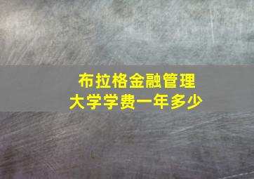 布拉格金融管理大学学费一年多少