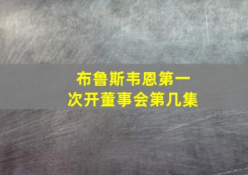 布鲁斯韦恩第一次开董事会第几集