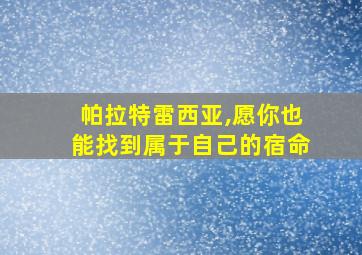 帕拉特雷西亚,愿你也能找到属于自己的宿命