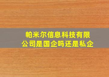 帕米尔信息科技有限公司是国企吗还是私企