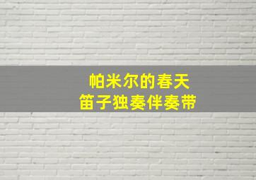 帕米尔的春天笛子独奏伴奏带