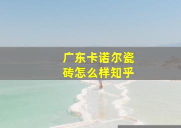 广东卡诺尔瓷砖怎么样知乎