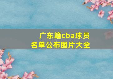 广东籍cba球员名单公布图片大全