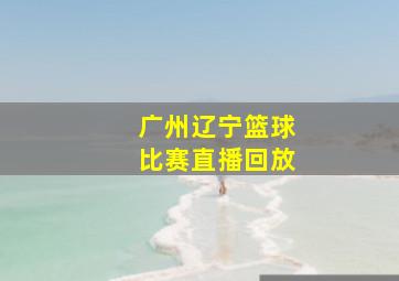 广州辽宁篮球比赛直播回放