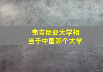 弗吉尼亚大学相当于中国哪个大学