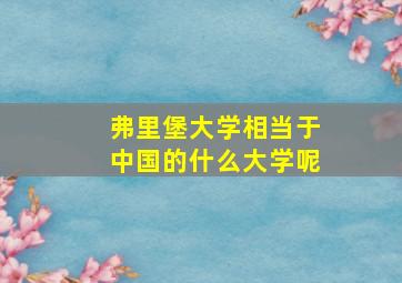 弗里堡大学相当于中国的什么大学呢