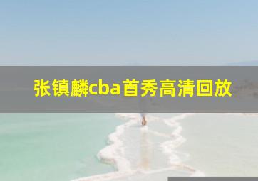 张镇麟cba首秀高清回放