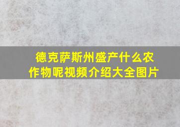 德克萨斯州盛产什么农作物呢视频介绍大全图片