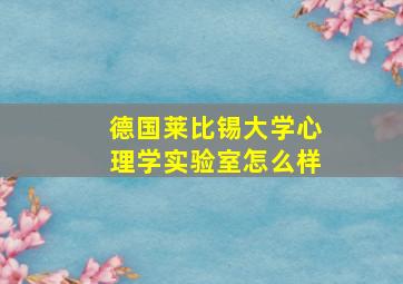 德国莱比锡大学心理学实验室怎么样